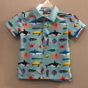 Boys Millie and maxx ocean polo